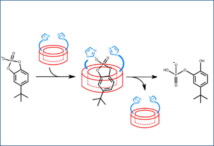 環(huán)糊精納米結(jié)構(gòu)作為人工酶的主體結(jié)構(gòu)引起了關(guān)注